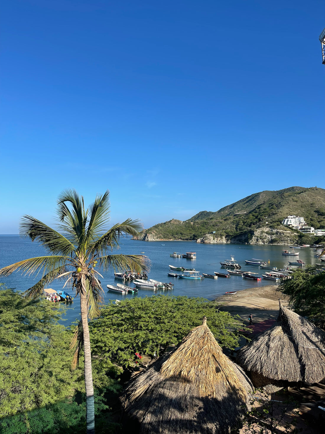 COLOMBIA. AVENTURA EN LA TIERRA DEL CAFÉ