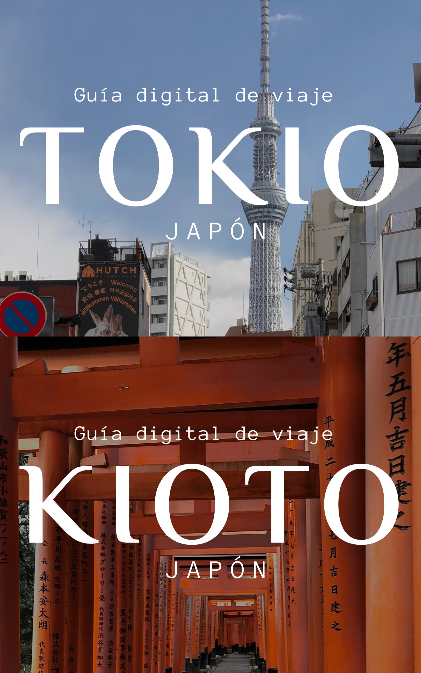 JAPÓN - GUÍA DE TOKIO Y GUÍA DE KIOTO